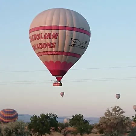 Expert Cave Cappadocia *